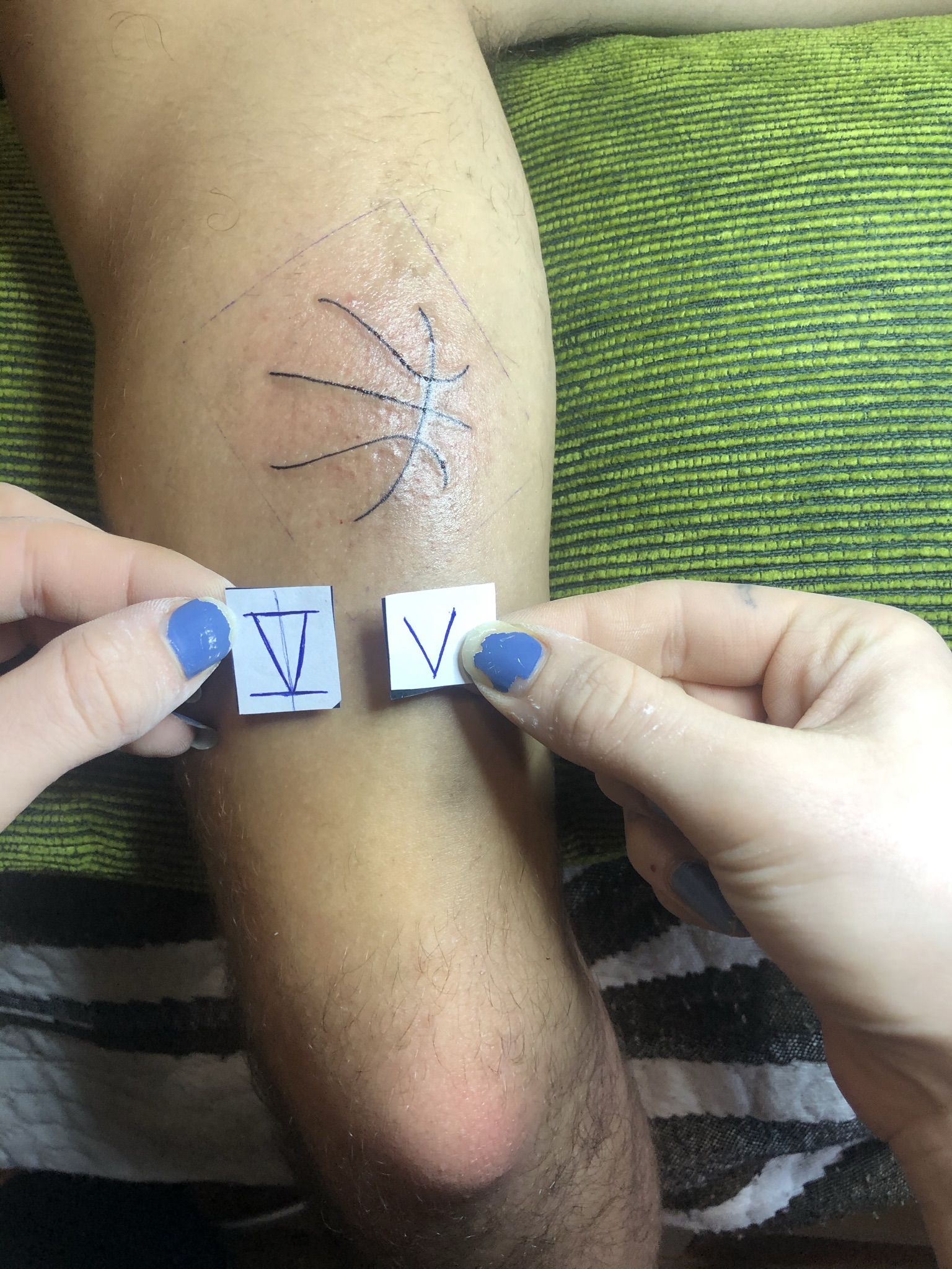 1D0A3A81-016A-4E6A-BCE6-9756A920E5EF_1_102_o